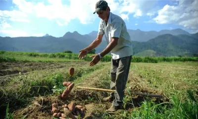 Super El Niño Ameaça seu Bolso e o Agro: Entenda os Impactos da Crise Climática no Brasil em 2026