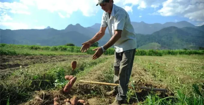 Super El Niño Ameaça seu Bolso e o Agro: Entenda os Impactos da Crise Climática no Brasil em 2026