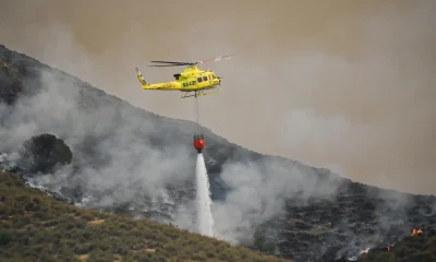 Tragédia na Espanha: Incêndio Florestal na Andaluzia Deixa 12 Mortos, Dezenas de Feridos e Desaparecidos em Meio a Calor Intenso