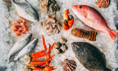Pescado Brasileiro Rumo ao Topo: Modernização Regulatória é Chave para Competir Globalmente