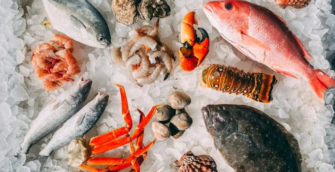 Pescado Brasileiro Rumo ao Topo: Modernização Regulatória é Chave para Competir Globalmente