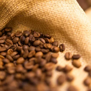 Café Brasileiro Sob o Sol Intenso: Como o Calor Transforma o Cultivo e o Futuro da Produção de Café