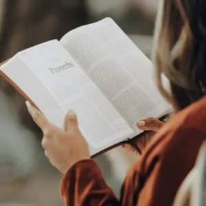 Leitura Aprimora o Pensamento Crítico e a Vida: Brasil Perde Leitores Enquanto Redes Sociais Dominam Tempo Livre