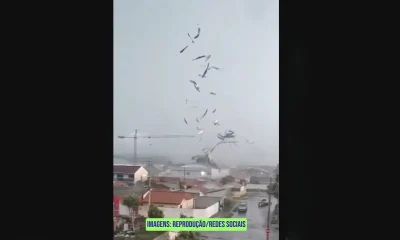 Tornado assusta São José dos Pinhais: Casas destelhadas e bairros sem luz após forte vendaval na Grande Curitiba