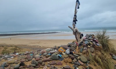 Fãs de Harry Potter mudam rota de projeto elétrico milionário para proteger o "túmulo de Dobby"