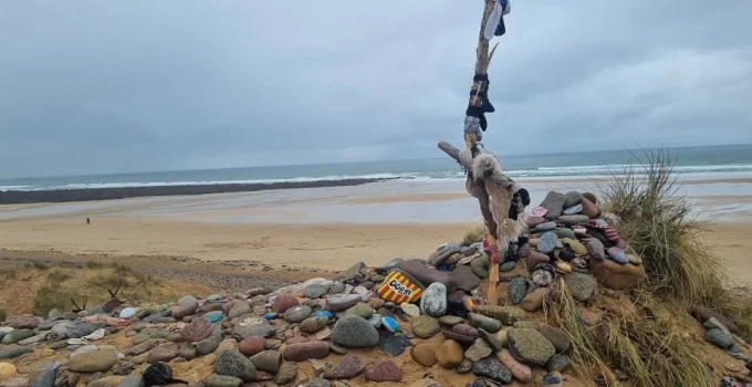 Fãs de Harry Potter mudam rota de projeto elétrico milionário para proteger o "túmulo de Dobby"