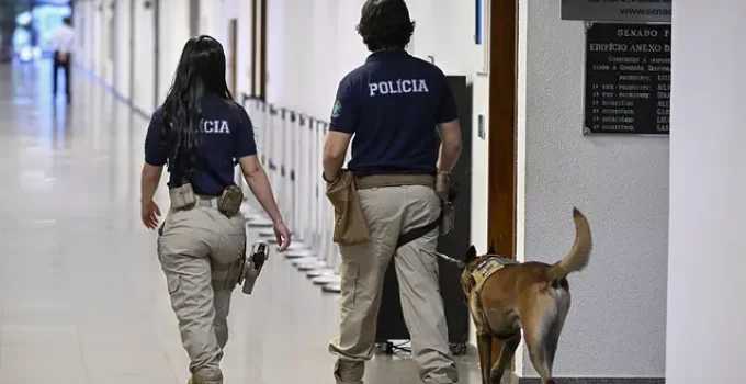 Morre veterinária atacada por cão do Senado: tragédia choca Brasil e levanta questões sobre segurança em canis