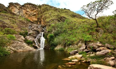 Serra do Cipó: Tesouro Brasileiro de Espécies Únicas Ameaçadas por Mineração e Aquecimento Global