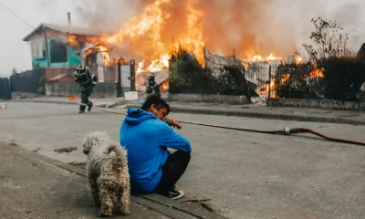 Chile em Chamas: Incêndios Florestais Devastam Regiões, Deixam 16 Mortos e Forçam Estado de Catástrofe