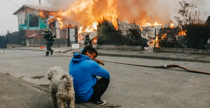 Chile em Chamas: Incêndios Florestais Devastam Regiões, Deixam 16 Mortos e Forçam Estado de Catástrofe