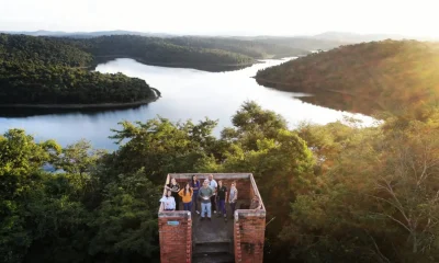 Herbicida Natural Brasileiro: Fungo Descoberto em MG Pode Superar Glifosato e Revolucionar Agricultura