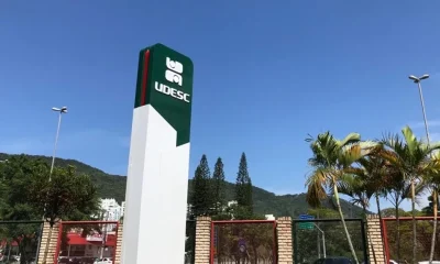 Cotas Raciais em SC: Juristas Questionam "Ativismo Judicial" e Autonomia dos Estados Após Decisão do TJSC