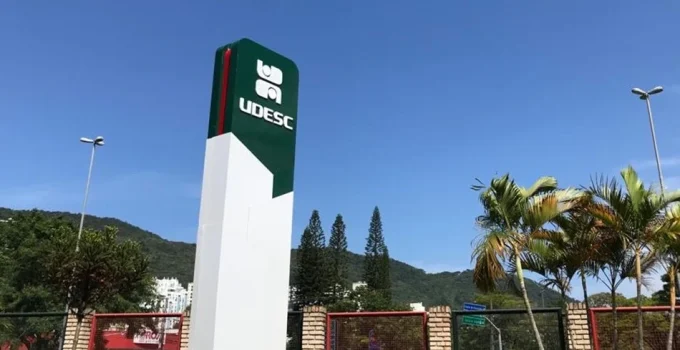 Cotas Raciais em SC: Juristas Questionam "Ativismo Judicial" e Autonomia dos Estados Após Decisão do TJSC