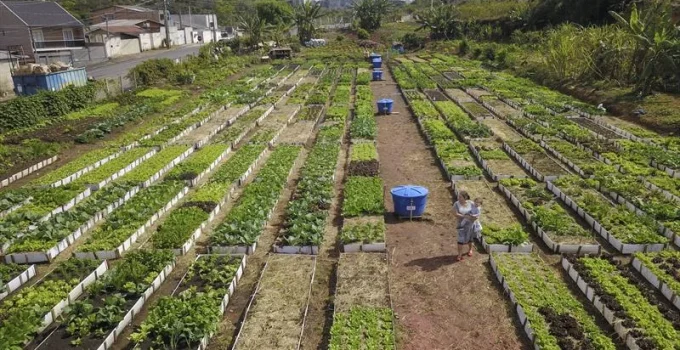 Curitiba na Disputa Global: Capital Paranaense Busca Sediar Conferência da FAO e Destaca Políticas Alimentares Inovadoras