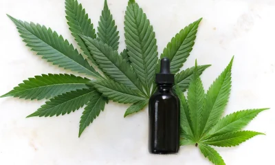 Maconha Medicinal: Estudos Revelam Mais Riscos que Benefícios, Alertam Especialistas e Países Recuam em Políticas Tolerantes