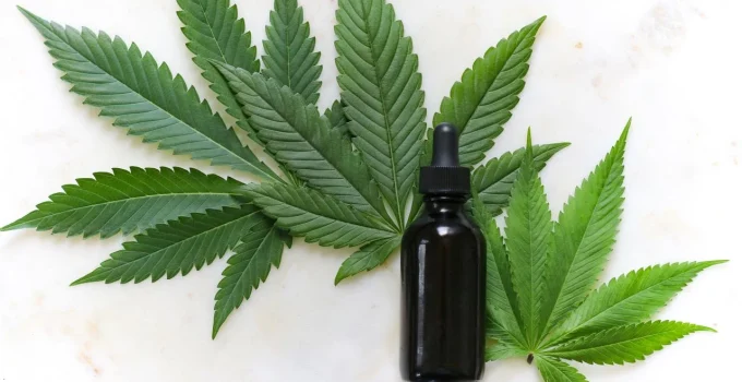Maconha Medicinal: Estudos Revelam Mais Riscos que Benefícios, Alertam Especialistas e Países Recuam em Políticas Tolerantes