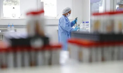 Reprodução Assistida com Gametas Doados: Legislação Brasileira Ignora Direitos e Cria Riscos Silenciosos para Crianças