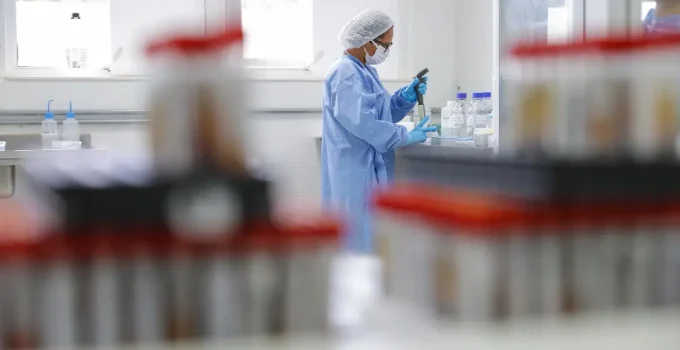 Reprodução Assistida com Gametas Doados: Legislação Brasileira Ignora Direitos e Cria Riscos Silenciosos para Crianças