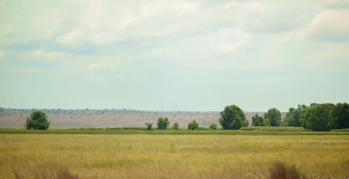 Angola Cede 60 Mil Hectares a Produtores Brasileiros: Brasil Exporta Tecnologia e Ganha Nova Fronteira Agrícola