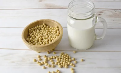 Bebidas Vegetais Lutam Contra Veto de Lula para Pagar Menos Impostos, Buscando Equiparar Lácteos