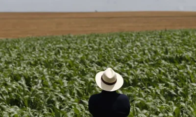 Conflito no Oriente Médio: Inflação à Vista? Como a Guerra Afeta o Agronegócio Brasileiro e Seus Preços