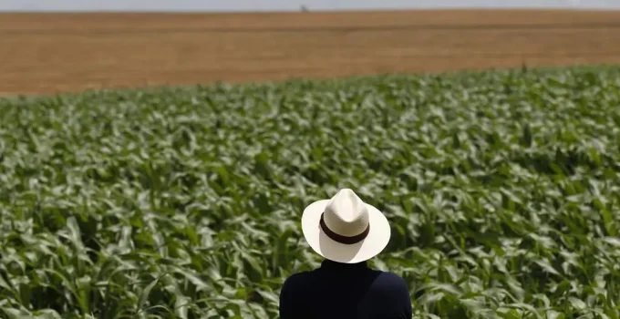 Conflito no Oriente Médio: Inflação à Vista? Como a Guerra Afeta o Agronegócio Brasileiro e Seus Preços
