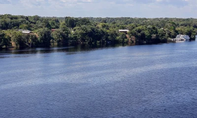 Brasil em Encruzilhada: O Que Falta Para Virar o Jogo do Desenvolvimento e Superar a Polarização?