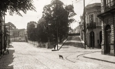 A Ladeira da Memória: A Jornada Corajosa para Reencontrar a Autenticidade em Meio ao Esquecimento Brasileiro