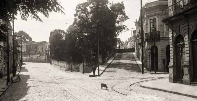 A Ladeira da Memória: A Jornada Corajosa para Reencontrar a Autenticidade em Meio ao Esquecimento Brasileiro