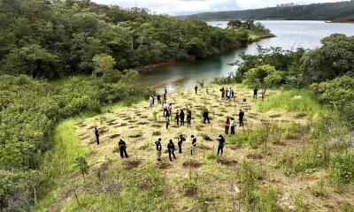Justiça do DF proíbe uso da Serrinha do Paranoá para socorrer BRB, em meio a polêmica de gestão e dívidas bilionárias