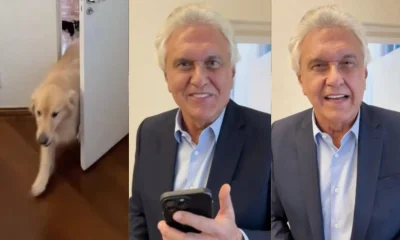 Caiado rebate Lula sobre gastos com pets e dispara: "O problema do brasileiro são os corruptos, não os cachorros"