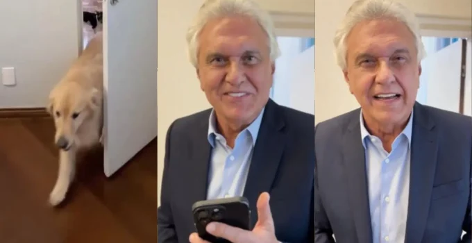 Caiado rebate Lula sobre gastos com pets e dispara: "O problema do brasileiro são os corruptos, não os cachorros"