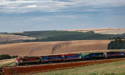 Integração Ferroviária no Sul: Concessões Distintas Desafiam Futuro da Malha Sul e Ferroeste