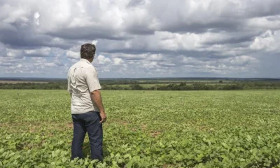 Fim da Escala 6x1: Agronegócio Alerta para Aumento de até 24% nos Preços de Alimentos no Brasil
