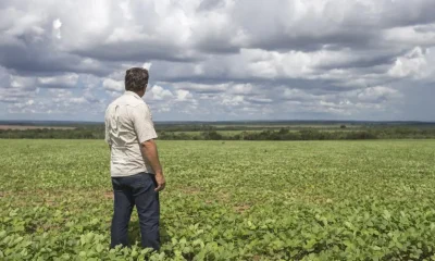 Fim da Escala 6x1 no Agro: Ipea Alerta que Quase 97% dos Empregos Formais Seriam Afetados e Custos Bilionários