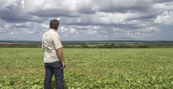 Fim da Escala 6x1 no Agro: Ipea Alerta que Quase 97% dos Empregos Formais Seriam Afetados e Custos Bilionários