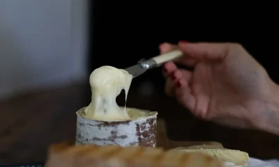 Queijo Morro Azul: O Tesouro Brasileiro Que Conquistou o Mundo e Seus Segredos de Produção