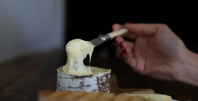 Queijo Morro Azul: O Tesouro Brasileiro Que Conquistou o Mundo e Seus Segredos de Produção