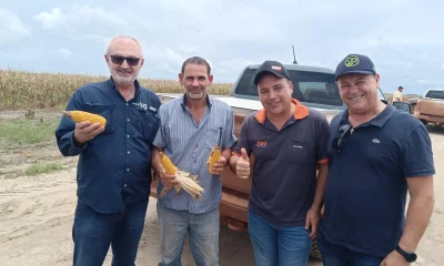 Petróleo na Guiana: Terras de graça para brasileiros produzirem alimentos e transformarem o país em polo agrícola do Caribe