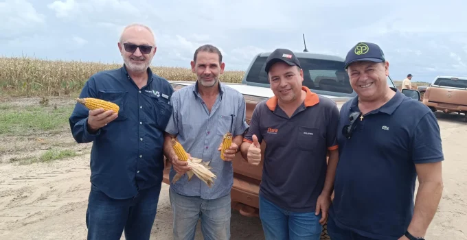 Petróleo na Guiana: Terras de graça para brasileiros produzirem alimentos e transformarem o país em polo agrícola do Caribe