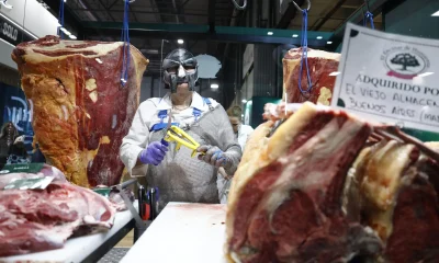 Carne de Burro na Argentina: Entenda a Notícia Distorcida no Brasil e a Verdade Por Trás do Projeto Regional