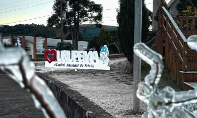 Urupema: Como o Frio Extremo da Serra Catarinense Vira Oportunidade de Negócio e Turismo em "Capital do Frio"