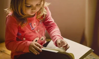 Livros Didáticos Gratuitos: A Chave para Igualdade e Futuro no Brasil, Entenda o Poder do PNLD