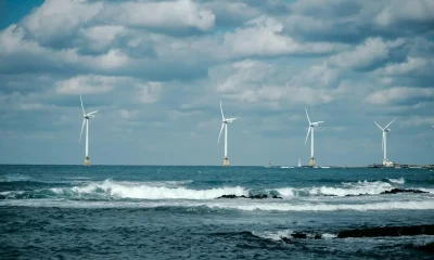 Energia Eólica Offshore no Brasil: Potencial Gigante Enfrenta Desafios Regulatórios para Decolar em 2036