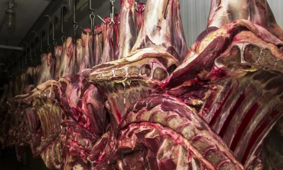Brasil em Alerta: União Europeia Ameaça Proibir Carne e Outros Produtos de Origem Animal a Partir de Setembro