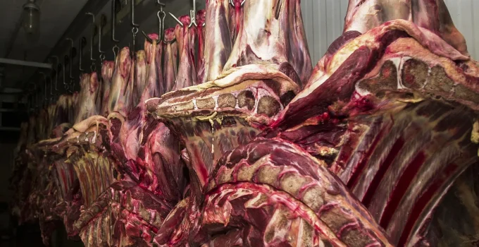 Brasil em Alerta: União Europeia Ameaça Proibir Carne e Outros Produtos de Origem Animal a Partir de Setembro