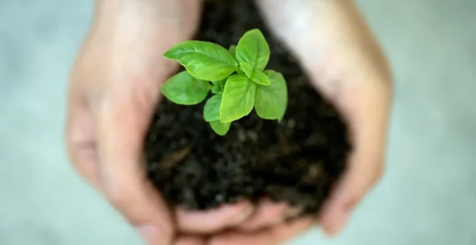 Cadeia de Suprimentos Sustentável: Regeneração Ambiental e Lucro em Sintonia Rumo a um Futuro Verde