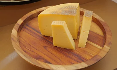 Queijo Brasileiro Conquista o Mundo: Sul do Brasil Supera 30 Países e Ganha o Topo em Competição Mundial
