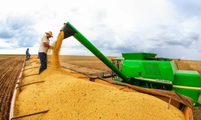 Agronegócio Urge Fundo Garantidor e Mudança Estrutural no Plano Safra 2026/2027: Senadora Propõe Solução para Crise de Crédito