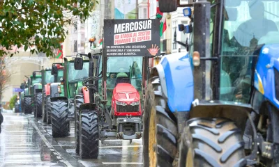 Acordo UE-Mercosul: Agro Celebra Riqueza, Indústria Teme Futuro e Brasil Busca Modernização Forçada